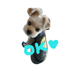 SAYURI_20181220141858