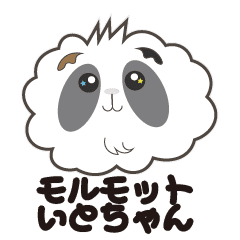 cute-guineapig-Itochan