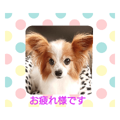 yuumi_20181220142811