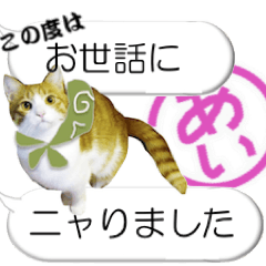 A balloon with cat for Ai