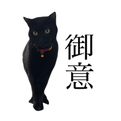 cat_gmska
