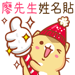”廖先生 冬季限定”扭扭貓姓名貼Q