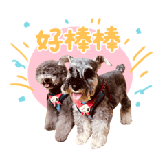 三隻毛寶貝