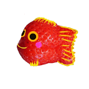 goldfish.sea bream.daily.in Japanese