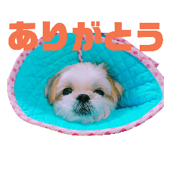 Rii_20181221142221