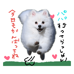 moco_20181220160522