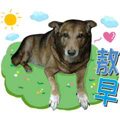 阿格西的快樂生活