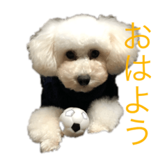 chihiro_20181220174753