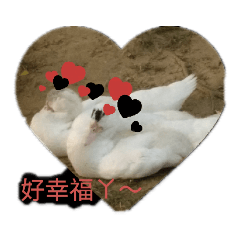 一日遊·幸福人生