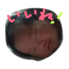 chi_20181221115443