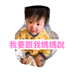 小肉圓的矯情日常