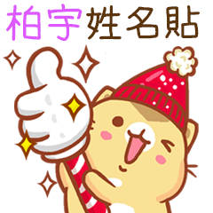 ”柏宇 冬季限定”扭扭貓姓名貼Q