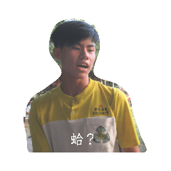 29屆表情包