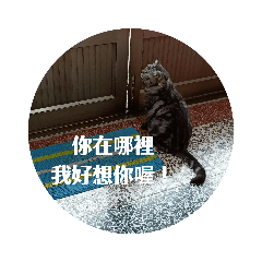 我在想你