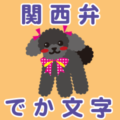 [toy poodle/Black] BIG-KANSAI