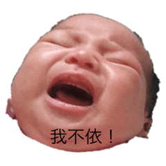 貓頭鷹成長日記