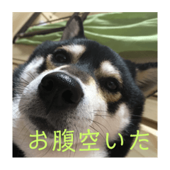 KAZUE_20181222222540