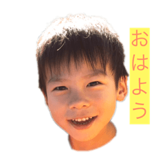 shinchansouchan