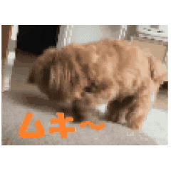 最速 ライン スタンプ 犬 動く 最速 ライン スタンプ 犬 動く