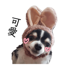 日常實用貼圖：點點篇