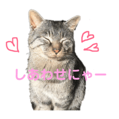 marumaru_20181221