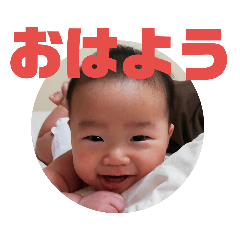 motani_20181222135803