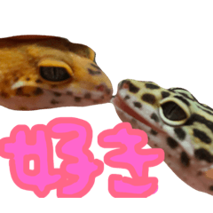 mochi_20181222150105