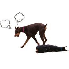 ayumi_20181221224017