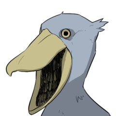 Mr. Shoebill is looking at you