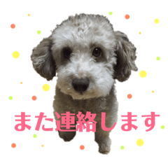mo_20181223142900