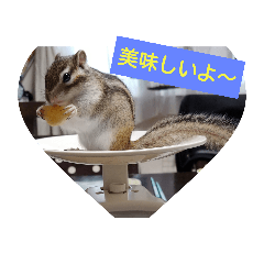 ran_20181223