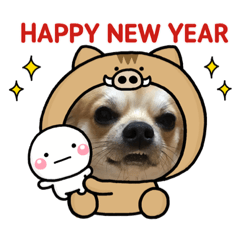 kaede_20181223141826