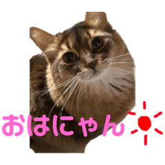 KyoN_20181223181555