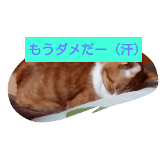 kaoru_20181222210954