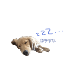 nene_20181223235036