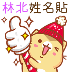 ”林北 冬季限定”扭扭貓姓名貼Q