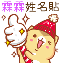 ”霖霖 冬季限定”扭扭貓姓名貼Q