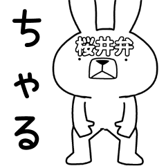 Dialect rabbit [sakurai]
