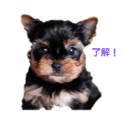 goemonmama_20181224195841