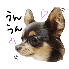 arisa_20181225032956