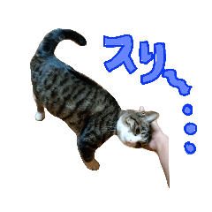 jun_20181226172710