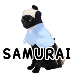 Kosuchoko. Samurai (translation) version