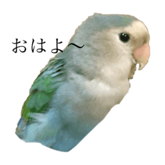 kayo_20181224230239