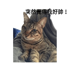 盧比與虎兒