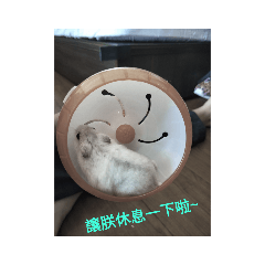 火箭日常