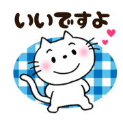 white cat for you