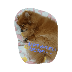 Akiko_20181225205902