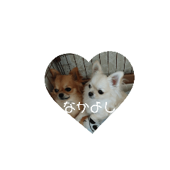 uchinokotachi_20181225214913