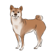Dogs of the Kansai area