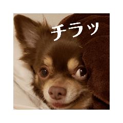 JUNKO_20181224192124